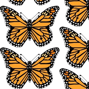 Monarch butterfly