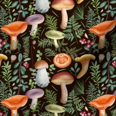6 x 5 inches Mushrooms mix_dark