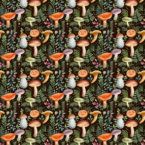 6 x 5 inches Mushrooms mix_dark