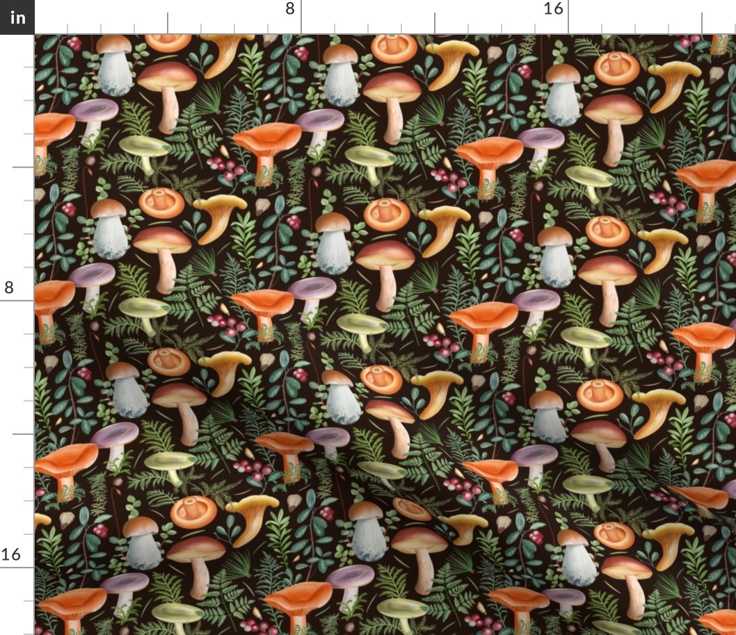 6 x 5 inches Mushrooms mix_dark