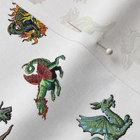 Medieval Dragons - White - Small - Multidirectional