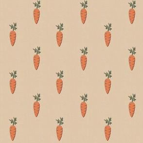 Carrots on paper textured background