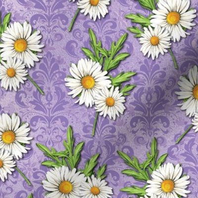 Daisies on Lavender