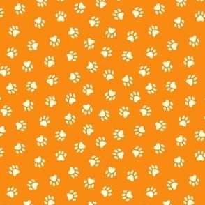 Paw Prints on Tangerine