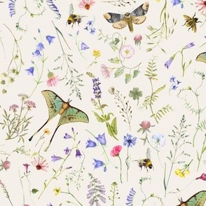 Watercolor hand drawn Late Summer WildFlowers Garden Flowers And Butterflies - Blush