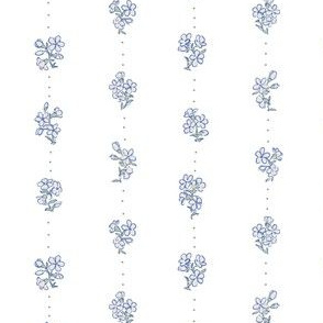 Forgetmenot string blue and white