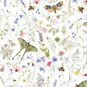 Watercolor hand drawn Late Summer WildFlowers Garden Flowers And Butterflies - Double Layer - white