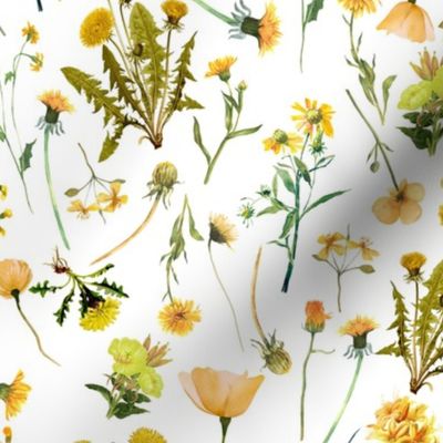 14" Yellow Wildflower Meadow - Summer Flowers -  on white