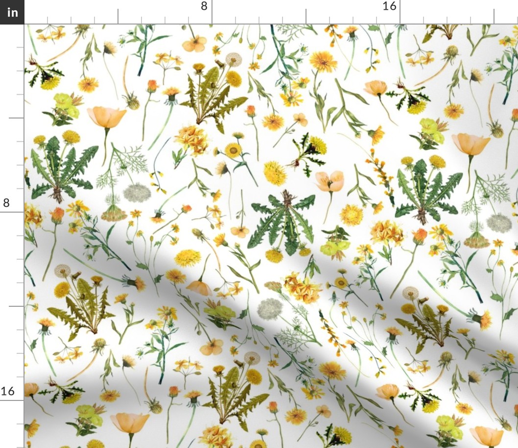 14" Yellow Wildflower Meadow - Summer Flowers -  on white