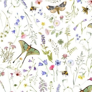 Watercolor hand drawn Late Summer WildFlowers Garden Flowers And Butterflies 