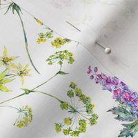 hWatercolor hand drawn Summer Garden Flowers -