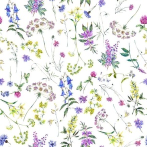 hWatercolor hand drawn Summer Garden Flowers -