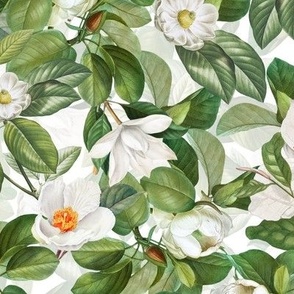 Lush Antique Victorian White Magnolia Flowers Botanical Garden On White- Double Layer
