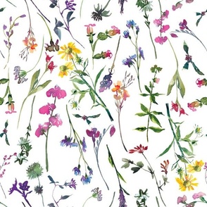 Watercolor hand drawn Summer Wild Garden Flowers 1