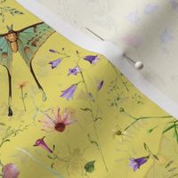 Watercolor hand drawn Late Summer WildFlowers Garden Flowers And Butterflies 2 - yellow  double layer