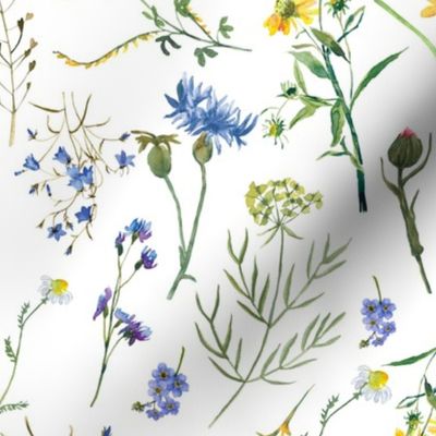 Simply Watercolor Wildflowers Grasses  And Cornflowers Meadow on white