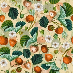 Antique Watercolor Strawberry Flower Meadow- Historical  Strawberries in Orange Double layer