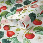 Antique Watercolor Strawberry Flower Meadow- nostalgic Strawberries on white Double layer