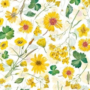 Simply Yellow  Watercolor Wildflowers  Meadow double Layer on white