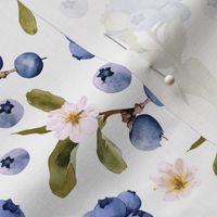 Hand painted Midsummer Blueberries and Tiny Flowers and Leaves-  on White