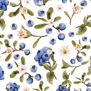 Hand painted Midsummer Blueberries and Tiny Flowers and Leaves-  on White