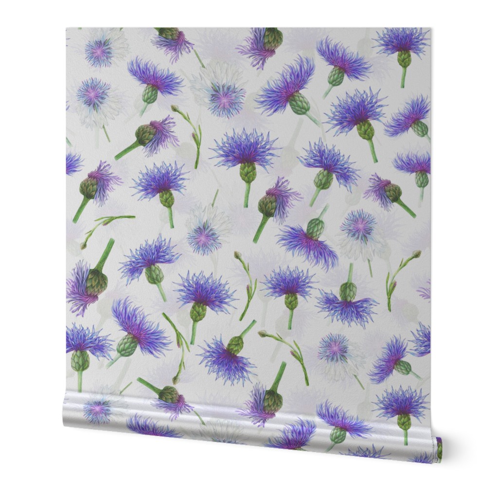 Watercolor Hand drawn wildflowers Cornflower  blossoms- double layer on white