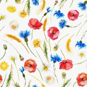 Happy wildflowers  Summerfield With poppys cornflowers daisies and Vintage  dandelions  on white