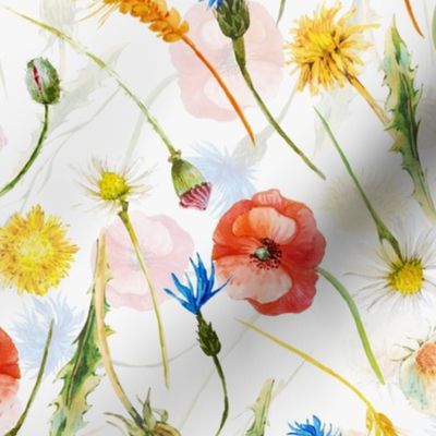 Happy wildflowers Summerfield With poppys cornflowers daisies and Vintage  dandelions double layer on white