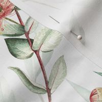 Native Eucalyptus Leaves With Blossoms On White Double Layer