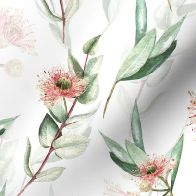 Native Eucalyptus Leaves With Blossoms On White Double Layer