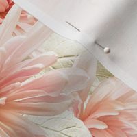 delicate chrysanthemum pastel flowers baby girl flowers blush 