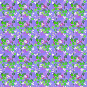 Lime, flower and pop - purple