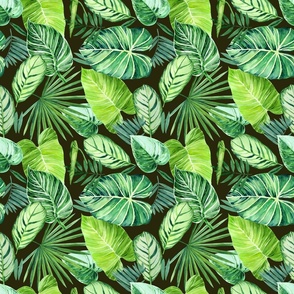 exotic tropical leaves