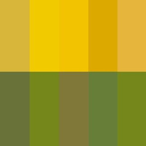 Yellow-Green Tester Swatch