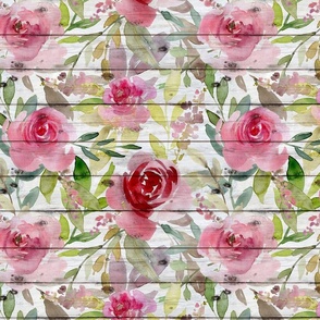 Pink Roses on a white shiplap background -  large scale