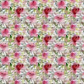 Pink Roses on a white shiplap background - medium scale