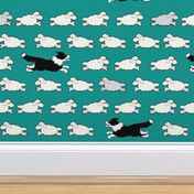 Small Scale Border Collies and Sheep on Teal