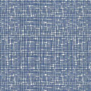 Crosshatch Navy on White - small scale