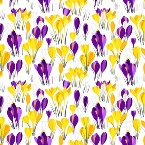 Crocuses on White, yellow & Purple