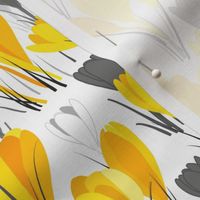 Yellow crocuses on white background