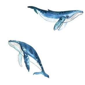 Hand painted watercolor whale