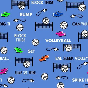 Volleyball-Blue Background
