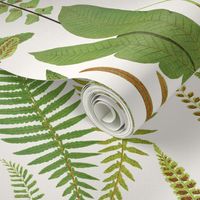 Fern Leaves - Large - White