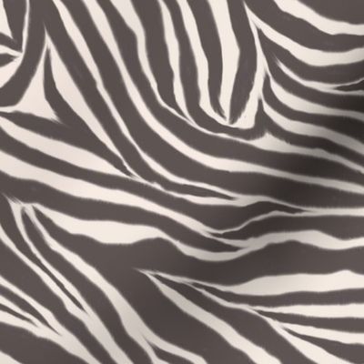 Charcoal Zebra