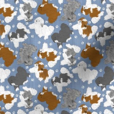 Tiny Trotting assorted Havanese and paw prints - faux denim