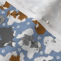 Tiny Trotting assorted Havanese and paw prints - faux denim