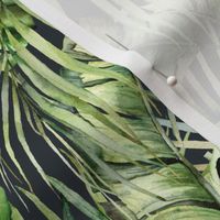 Tropical palm and monstera leaves