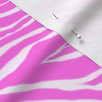 Electric Pink Zebra Stripes