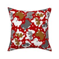 Trotting assorted Havanese and paw prints - red