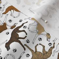 Tiny Trotting assorted Whippets and paw prints - white